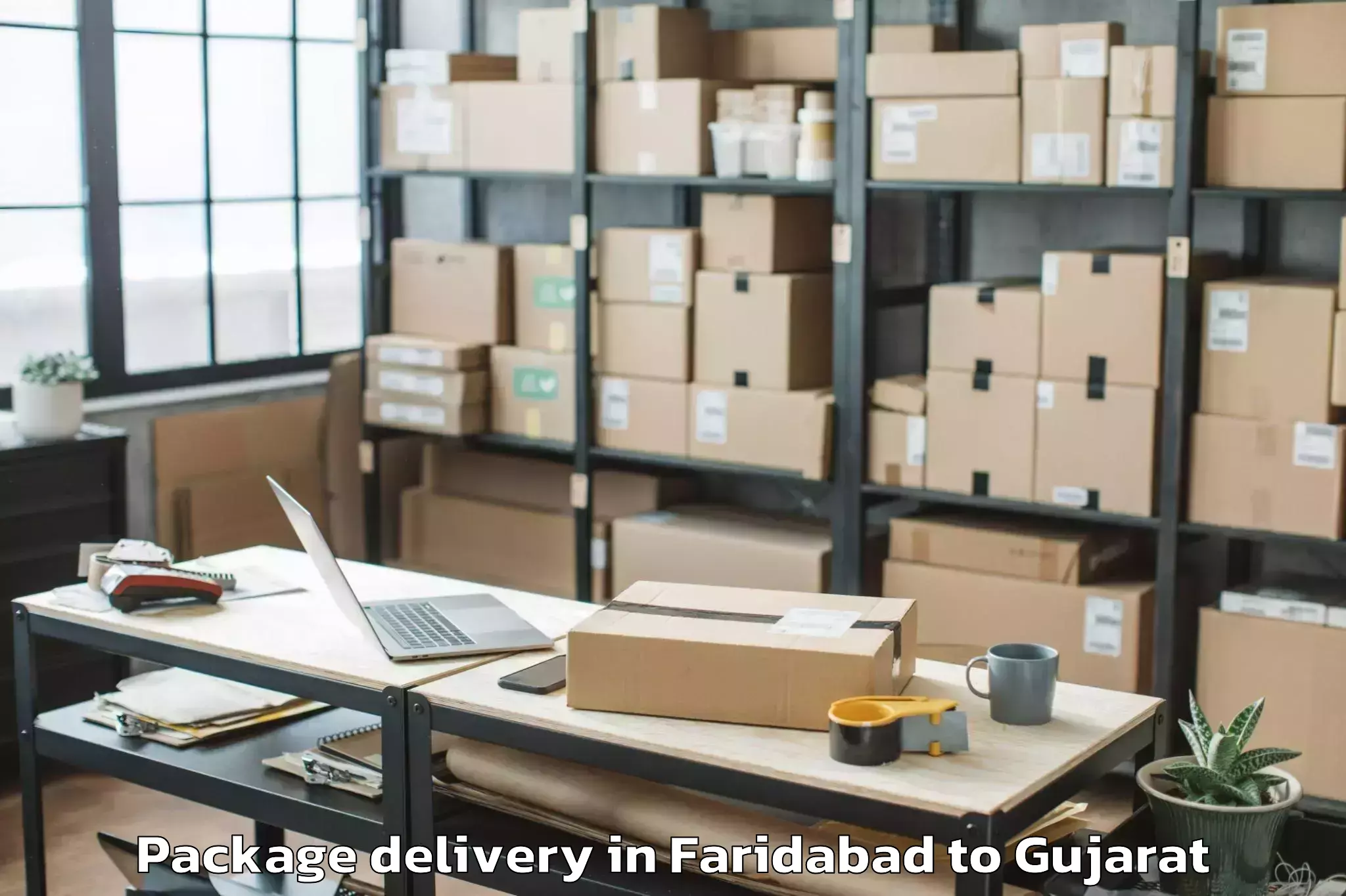 Quality Faridabad to Kadi Sarva Vishwavidyalaya Gan Package Delivery